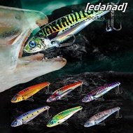 EDANAD 1Pcs  Fishing Lure, 5g 15g Metal Hard Squid Bait, Durable Jigging  Eyes Wobblers Sea Fishing 