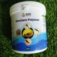 Genchem Polytase