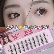 BQI Pure Desire Sunflower Lashes Natural Thick Long Individual Segmented Eyelashes