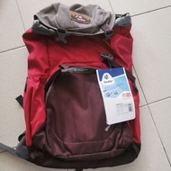Deuter Walker 20L backpack original