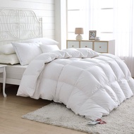 鴻宇 威爾斯羽絨被 匈牙利90%羽絨 台灣製(雙人/加大)