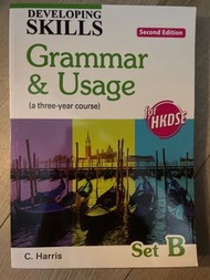 Developing skills grammar and usage setB