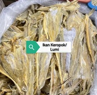 LUMI/ IKAN KEROPOK BORONG 5KG
