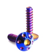 Honda Flower Head Release Screw Nut (CLICK) Titanium Color (4X12/4X16)