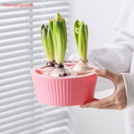 [thevatipoem] Hyacinth Tulip Seed Hydroponic Flowerpot 3/5Holes Pots For Plants Soilless Plant Pot L