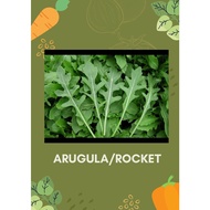 Arugula/Roqcket Salad 200 Seeds High Germination Organic  &  Non GMO Free shipping on Regular Mail 1