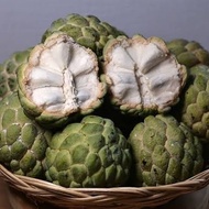 Buah srikaya 1 kg