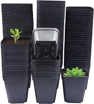 RooTrimmer Square Nursery Pots 3" 120Pcs Deep Succulent Plastic Pots Small Flower Planter Seeds Starter Germination Pots with Drainage (Black,2.7Inches,120Pcs)