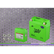 ESR MOTOR BATTERY PICOCELL