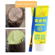 SIMPLESHOPLS Tree Wound Sealant, Tree Repair 100g Grafting Tree Sealer,  Smear Agent with Brush Plan