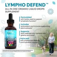 Organic Lymphatic Drainage Supplement | Lymphatic Support Drops | Burdock Root Echinacea Elderberry 