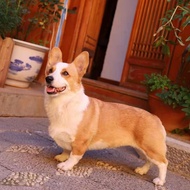 Shuhe Luye Hotel Lijiang