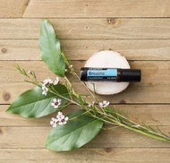dOTERRA 順暢呼吸複方精油滾珠裝 9ml（原價210元）現特價128元
