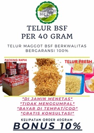 telur bsf super 40gram telur maggot bsf termurah telur lalat bsf berkwalitas