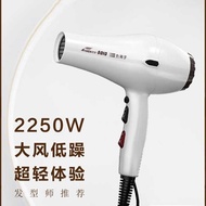 Aixin 8010 Hair Dryer Hair Dryer Negative Ion Hair Care Professional High Power Salon Hair Salon Hai