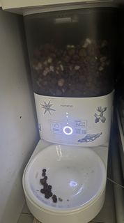Homerun 自動餵食器