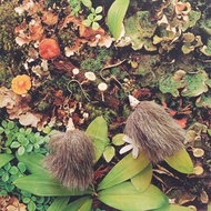 木刻耳環 - 刺蝟 (淺灰色) / 一對