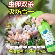 Insecticide Spray Succulent Dedicated Beetle Flower Non-Special Effects Insecticide