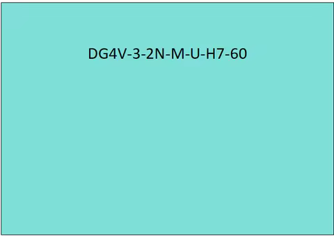 1PCS .Product Model DG4V-3-2N-M-U-H7-60