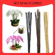 (10PCS) 60CM ORCHID STICK BULUH ORKID Wire Fix Rod Plant Support Curly Branches Flower arrangement