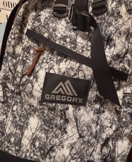 Gregory 書包26L白花