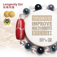 Dzi Kingdom Red Jade Turtle Back Dzi Bracelet 天珠王国龙甲长寿天珠手链