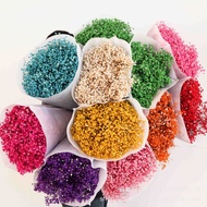 Gypsophila Souvenir Aromatherapy Simulation Flower Dried Flower Wholesale Bouquet Preserved Flower G