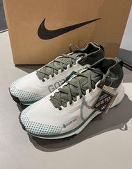 👟全新 Nike Pegasus Trail 4 Gore-Tex 白綠色 跑步鞋