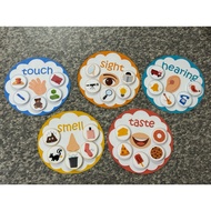 Laminated 5 Senses Learning Activity