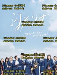 DVD 大陸劇【閃光少女】2019年國語 /中字