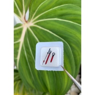 MERAH MESIN Machine watch needle nh35 nh36 black red 4R35 4R36