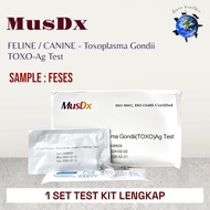 Musdx Toxoplasma TEST KIT (Toxoplasma-ag) - Toxoplasma Detection Tool For Cats &amp; Dogs (1 Complete TEST KIT)