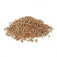 CUMIN 20 GRAN Cumin Powder