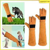 [SzgqmyyxfeMY] Pet Handling Gloves Anti-Scratch Protective Gloves Cleaning Glove Comfortable for Veterinarians Zoo Staff