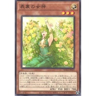 Yugioh Card 游戏王 Goddess of Duality SUDA-JP029