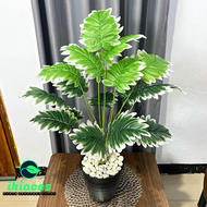 DAUN KELADI AGLONEMA ARTIFICIAL DAUN PLASTIK BUNGA POT HIAS DEKORATIF DAUN MONSTERA PLASTIK POHON HI