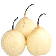 Buah Pear Yalie Perkilo