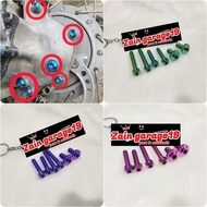 Axle bolts titanium GR5 GR5 titanium scopyBEAT (6 pieces)