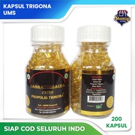 Habbatussauda Oil Extra Propolis Trigona UMS Kapsul Habbatusauda oil Plus Propolis Trigona UMS - 200