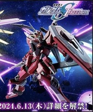 metal robot魂 無限正義二式
