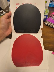 Butterfly D05 紅色反/黑色正 直板