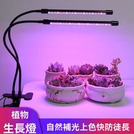 GLISTBAY - LED種植燈可調光雙頭全光譜燈夾 |水仙開花燈 |植物生長輔助儀