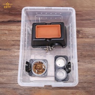 Reptile Small Snake Feeding Box Lizard Tarantula Living Cage Hatching Container for Lizard Gecko Pet