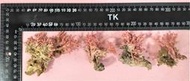 【阿悟的倉庫】現貨~天然澎湖粉紅珊瑚枝擺件~天然紅珊瑚枝擺件~4個合售