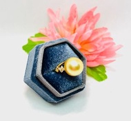 18K渾圓濃金南洋珠戒指 12 mm, 珠光飽滿, 10份鑽石/18K Golden South Sea Pearl Ring 12mm, Round and Good Luster, Diamond
