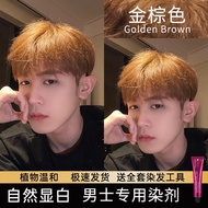 1250Readystock Golden Brown Hair Dye Yourself Dye Non-bleaching Plant Milk Tea Color Men's Special 2