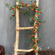 TEMU 1pc. 1.8 Meters/5.9 Feet Long Artificial Rose Vine, Augsburg Tea Bag Flower Vine. Suitable For 