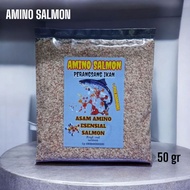 Amino salmon, salmon, fish appetite enhancer