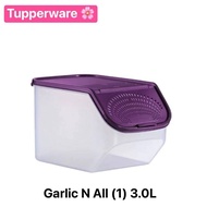 Food Container (Various Spices) Tupperware garlic N All 3L