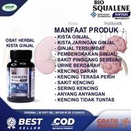 Obat Kista Ginjal Kista Jaringan Ginjal Tersumbat Sakit Pinggang Sebelah Sakit Dan Perih Saat Kencin